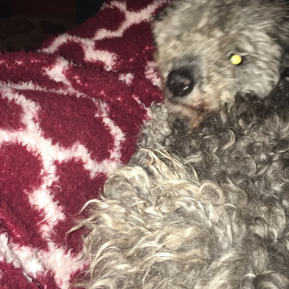 Meet your Posher, Samantha